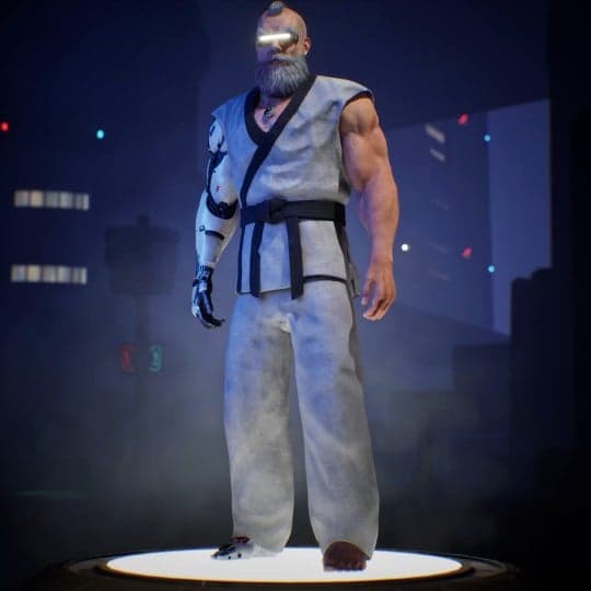 Snowy Satoshi
